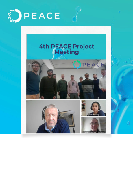 4th PEACE Project Meeting : First Research Targets Met 